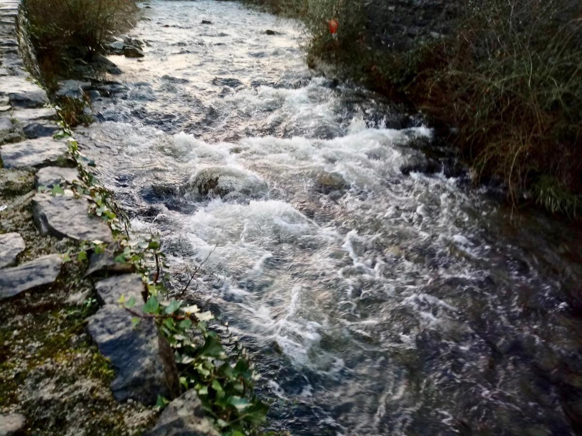 Vila Bro Arran Dolgellau Exteriér fotografie
